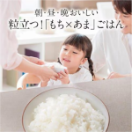 a017_061_mitsubishi_nj-vs10g-b