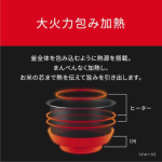 a017_060_panasonic_sr-n310d-w