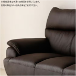 20102042_rose_couch-bk