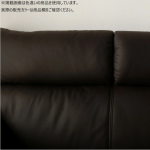 20102042_rose_couch-bk