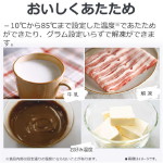 a011_059_toshiba_er-s10a-k