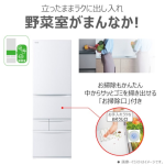 a002_083_toshiba_vegeta_gr-w41gh-wu