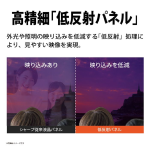 a009_044_sharp_aquos_2t-c24ge1