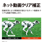 a003_078_sharp_aquos_4t-c65gl1