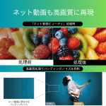 a003_077_tvsregza_regza_55x8900n