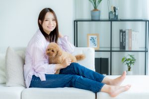 1LDKを快適に！シンプル家具で作る理想の暮らし