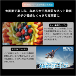 a003_079_tvsregza_regza_65z770r