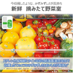 a002_094_toshiba_gr-y460fh-ew