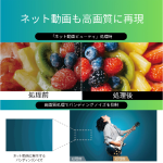 a003_082_tvsregza_regza-50z670n