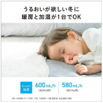 a025_006_panasonic_ds-fkx1206-h
