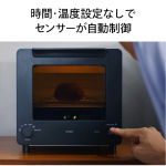 a011_068_twinbird_ts-d486b