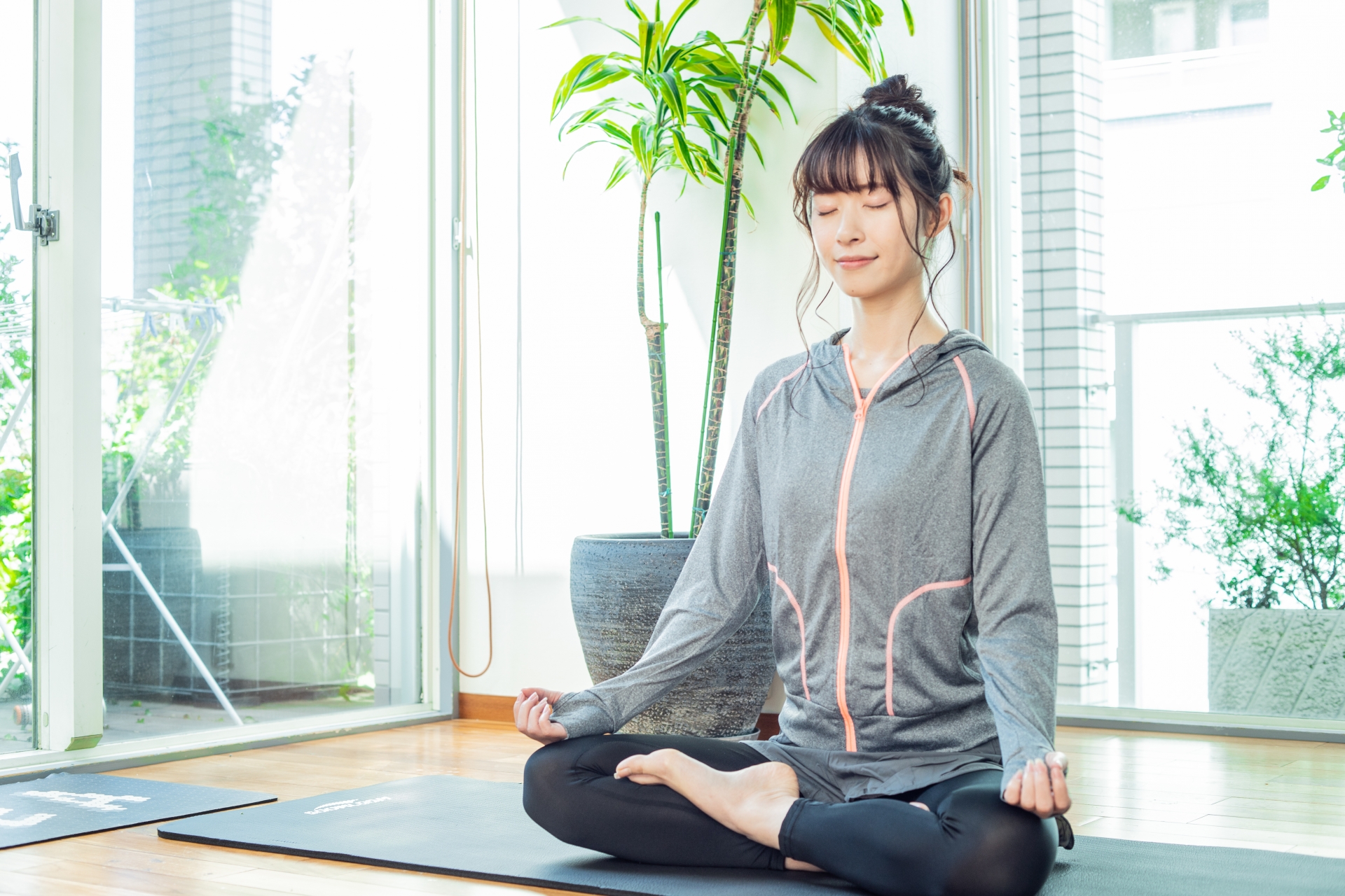 リビングにグリーンを取り入れるインテリア術