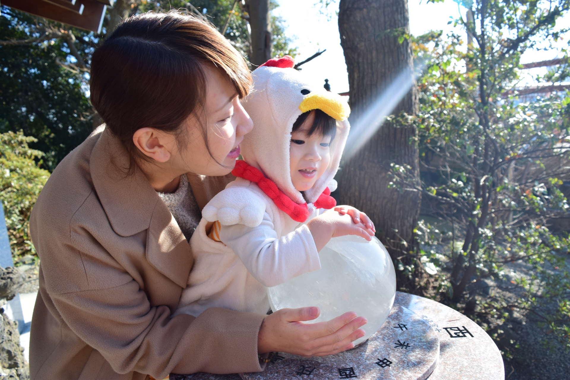 風水×インテリア診断で運気アップを狙う