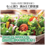 a002_096_toshiba_vegeta_gr-y510fz