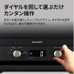 a011_079_sharp_re-td186-b