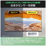 a009_052_hisense_32c35r