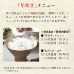 a017_072_tiger_jbs-g055-km