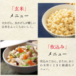 a017_072_tiger_jbs-g055-km