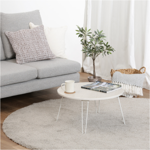 20201025_centertable_p600whw