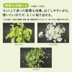 a002_106_hitachi_r-v38x