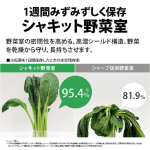 a008_069_sharp_sj-pd28r