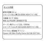 s001_093_hitorigurashi_4tenset_e1type