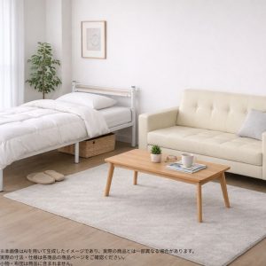 s007_007_hitorigurashi_furniture4tenset_btype