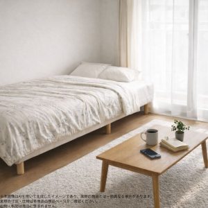 s025_001_hitorigurashi_furniture2set
